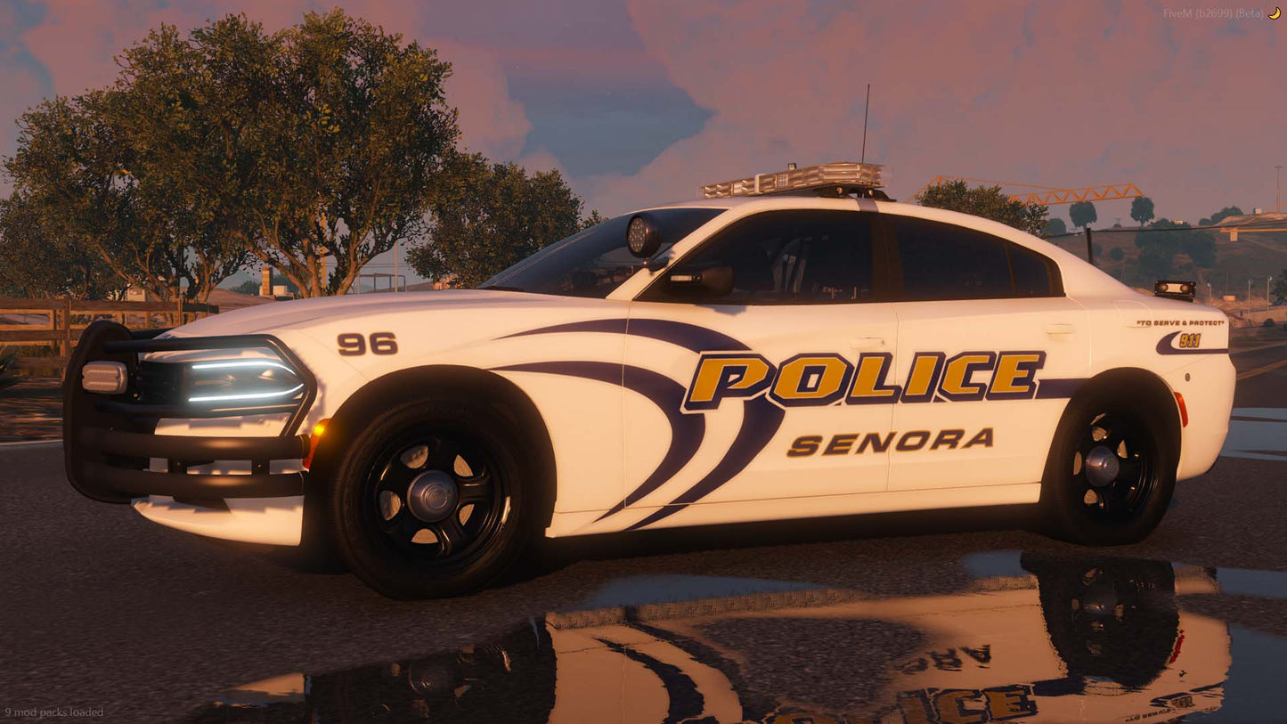 Ashdown Police Livery Pack (Senora)